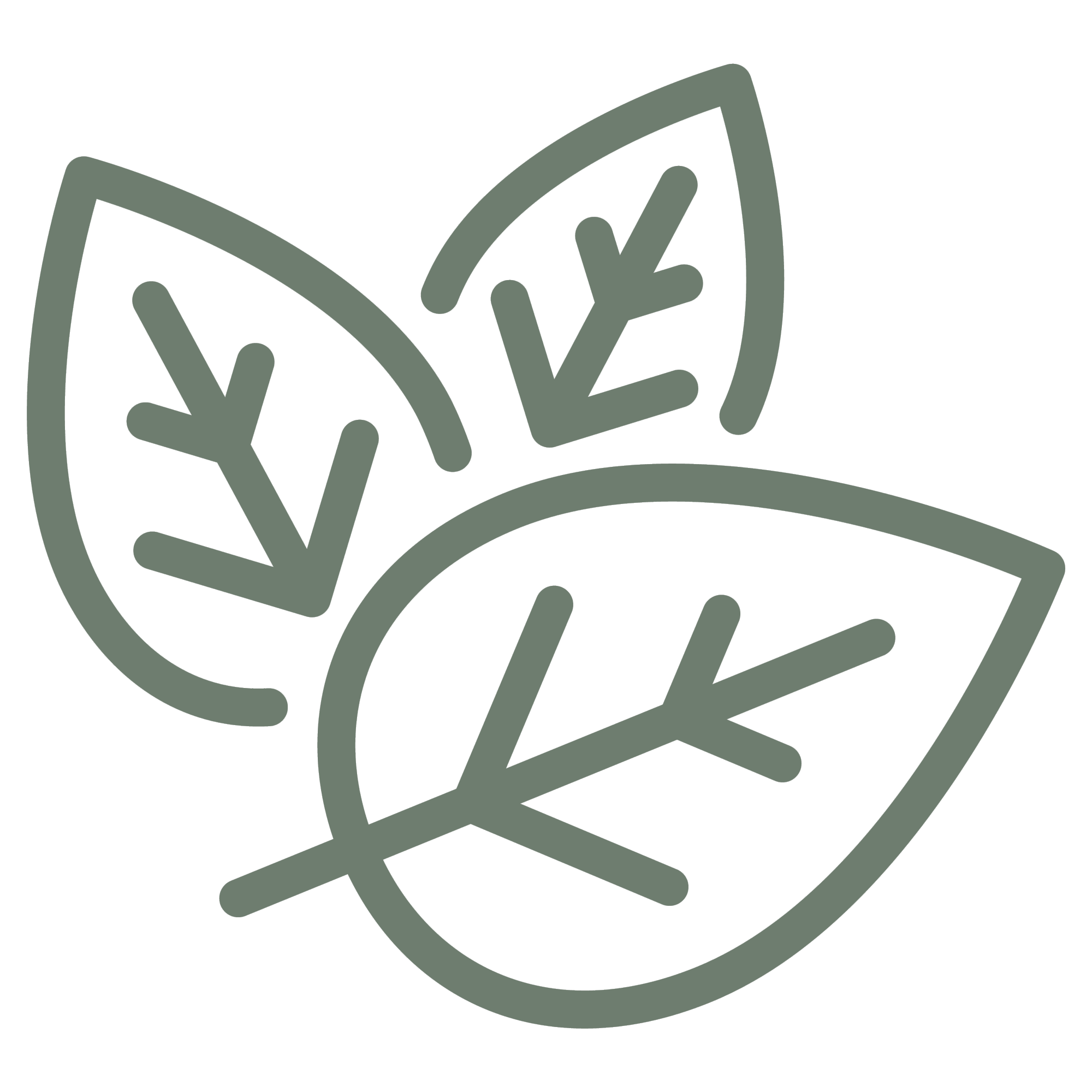 naturalne składniki